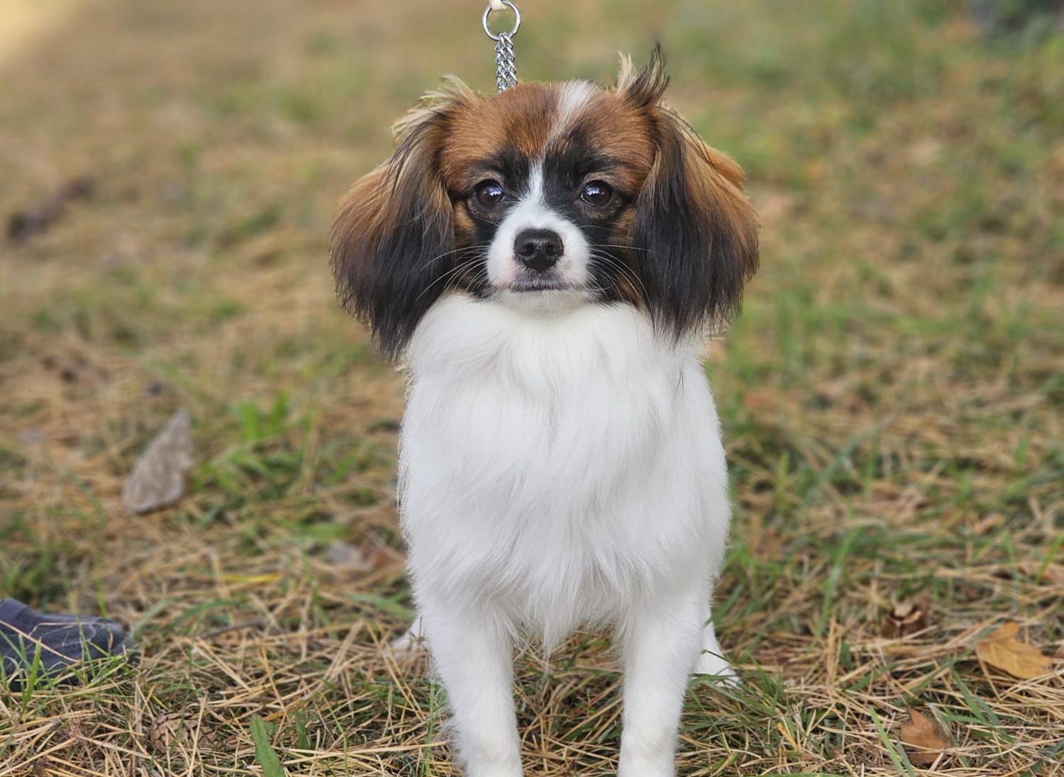 Emma 6 mo2