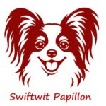 Swiftwit Papillon