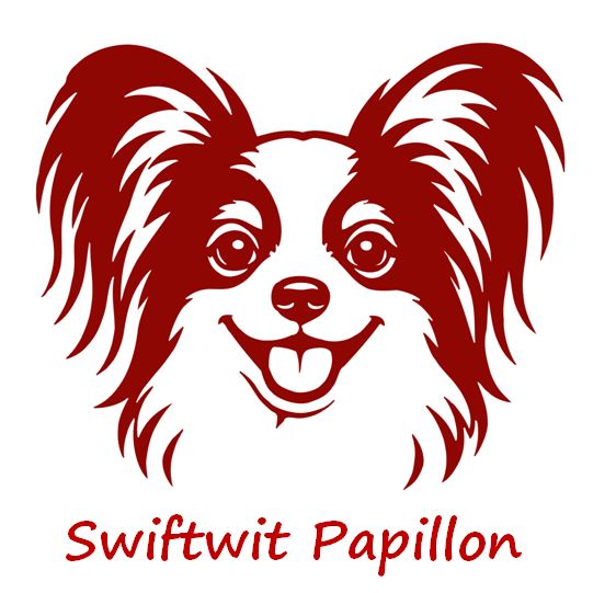 Swiftwit Papillon
