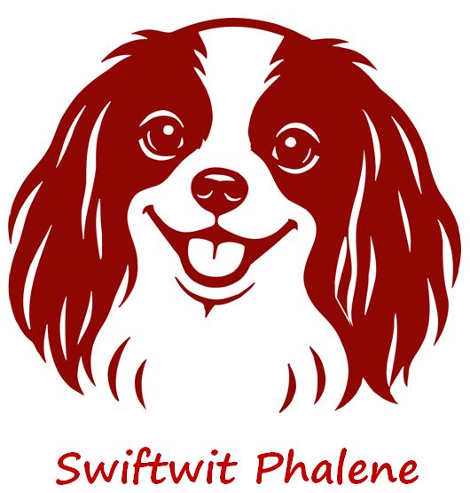 Logo Emma